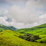 Lush greenery along the Netravati River trek