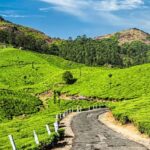 Munnar Backpacking Tour By AranyaAdventure