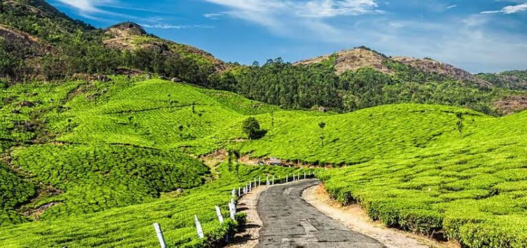 Munnar Backpacking Tour By AranyaAdventure