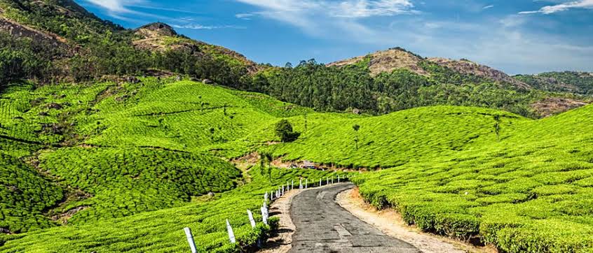 Munnar Backpacking Tour By AranyaAdventure