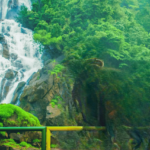 ooty arudra cabs sightseeing