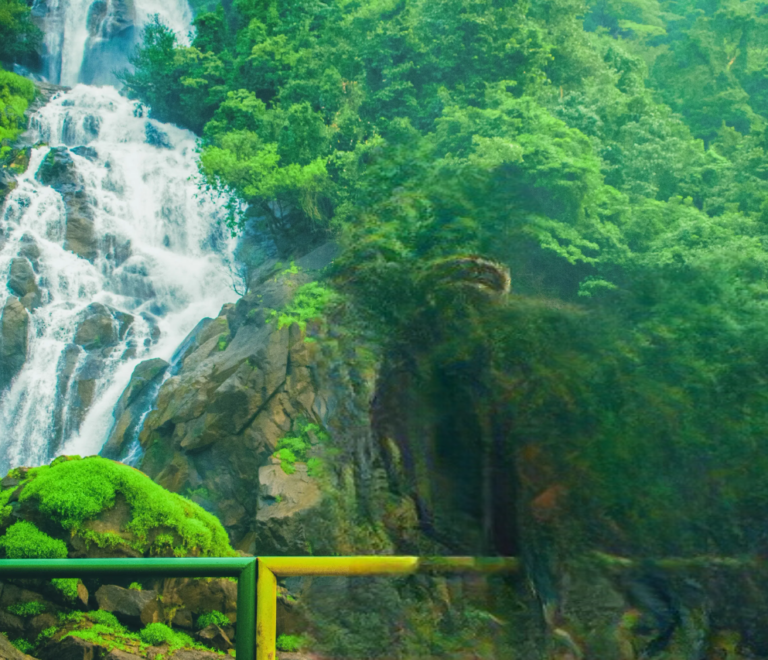 ooty arudra cabs sightseeing