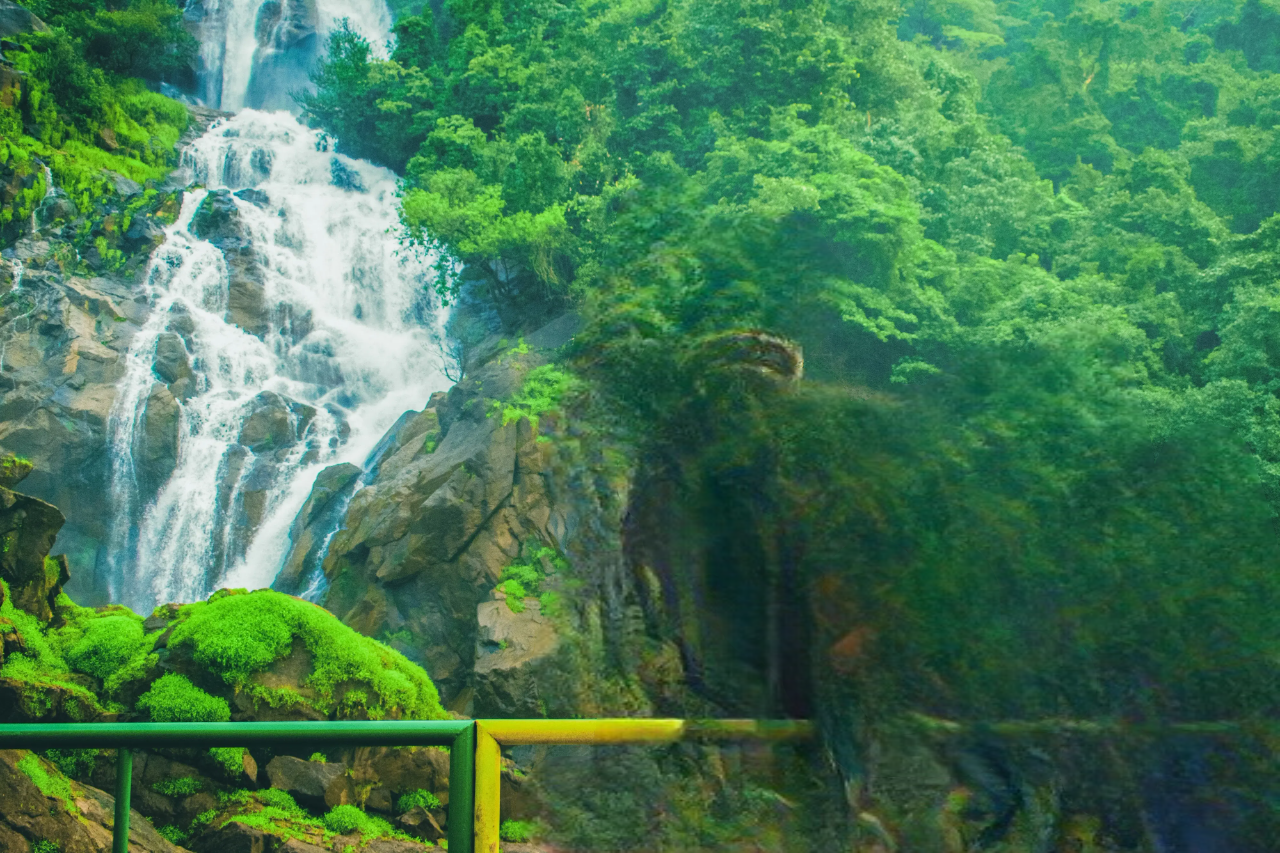 ooty arudra cabs sightseeing