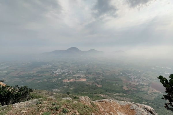 Kaiwara betta sunrise Trek