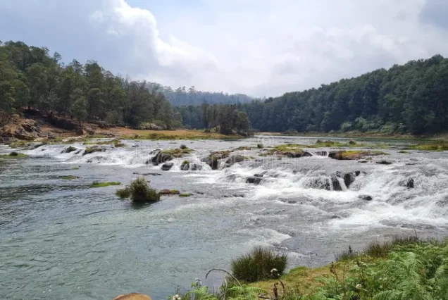 Ooty Pykara & Mudumalai Sightseeing