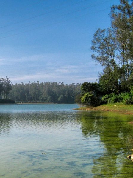 srivatsan-balaji-D-vAhdVOVYk-unsplash